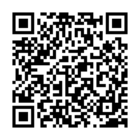 QR code for 493317