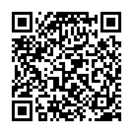 QR code for 493333