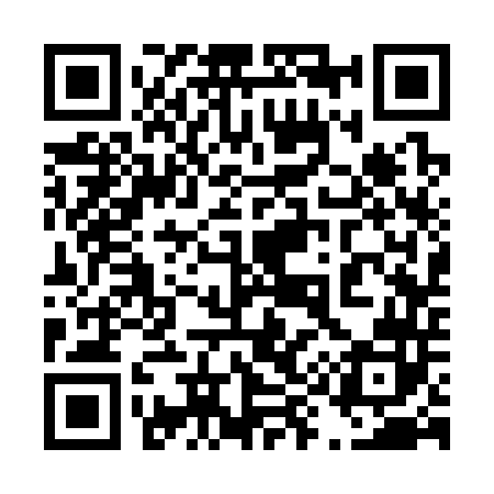 QR code for 493342