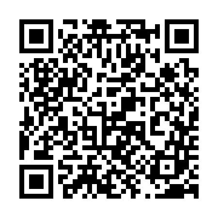 QR code for 493343