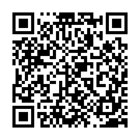 QR code for 493374