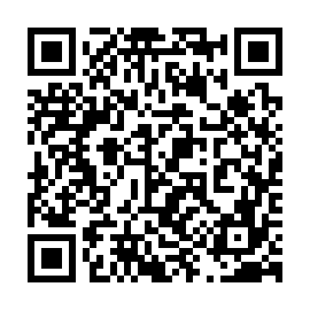 QR code for 493376