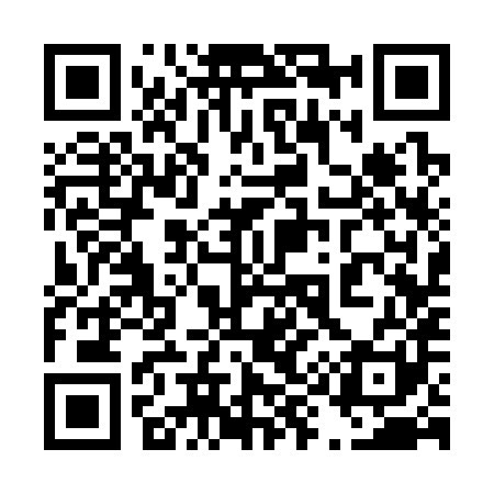 QR code for 493381