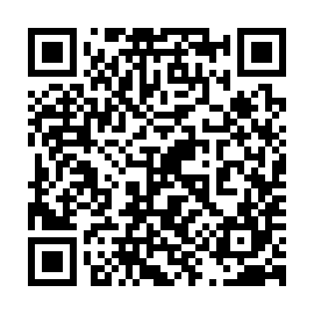 QR code for 493384
