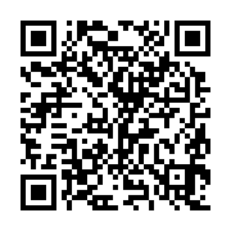 QR code for 493391
