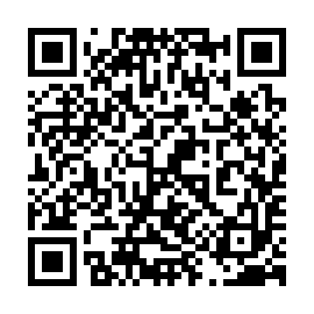 QR code for 493393