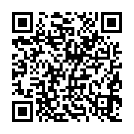 QR code for 493551
