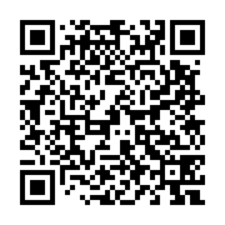 QR code for 493578