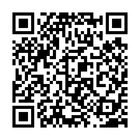 QR code for 493619