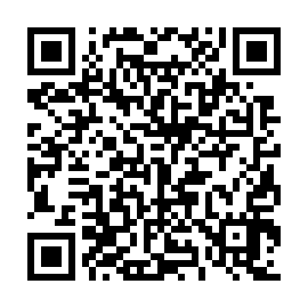 QR code for 493717