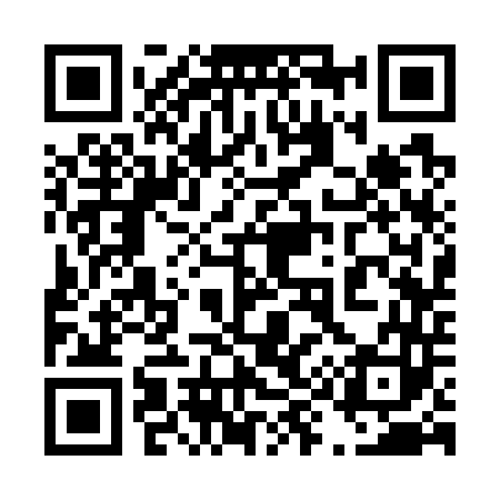 QR code for 493743