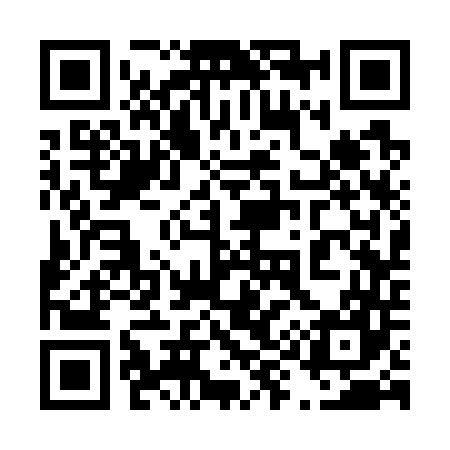 QR code for 493747