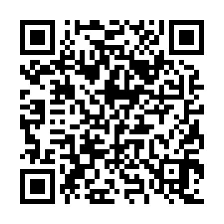 QR code for 493810