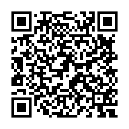 QR code for 493851