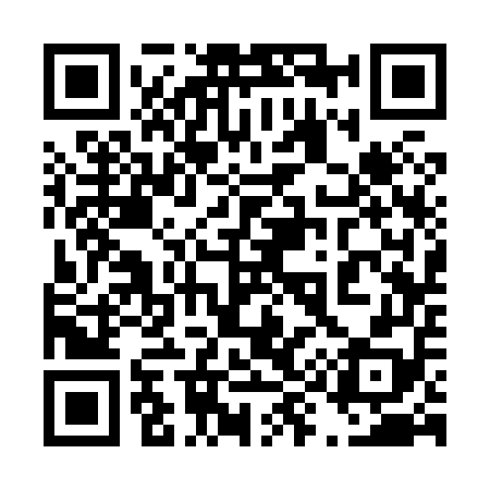 QR code for 493858