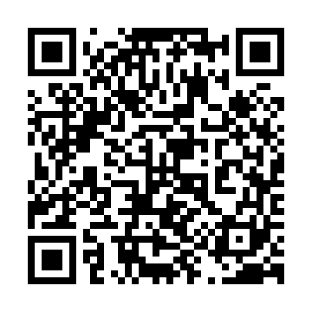 QR code for 493861