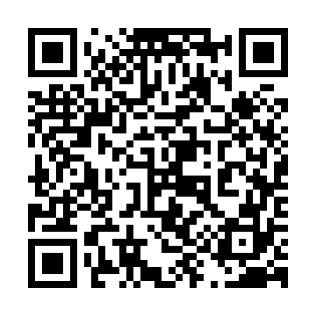 QR code for 493872