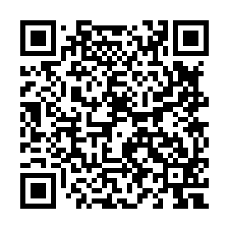 QR code for 493893