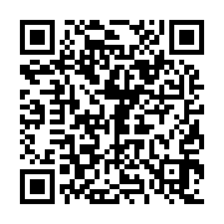 QR code for 493913