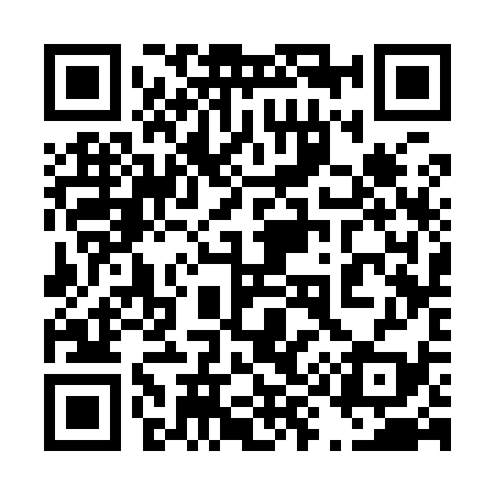 QR code for 493939