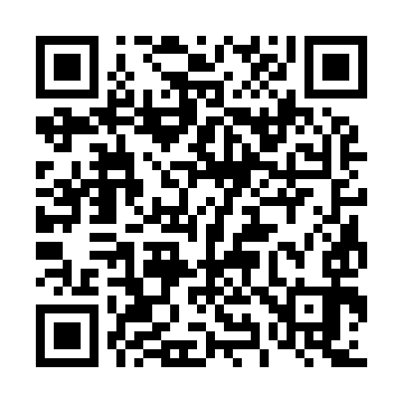 QR code for 493993