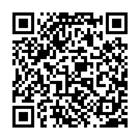 QR code for 494291
