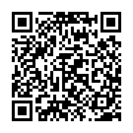 QR code for 494741