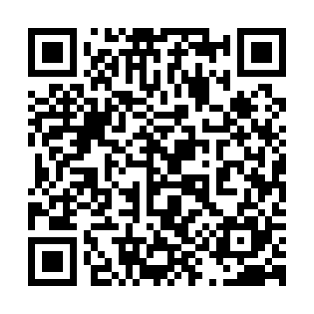 QR code for 495125