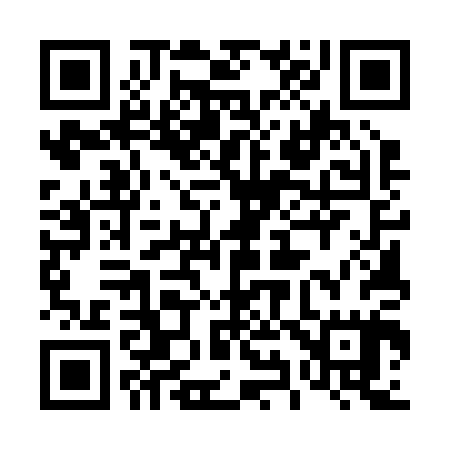 QR code for 495205