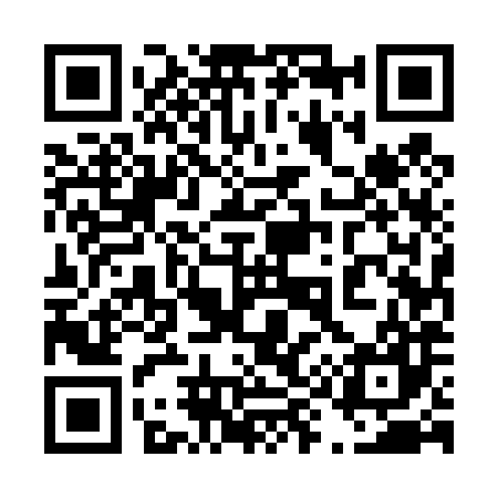QR code for 495487