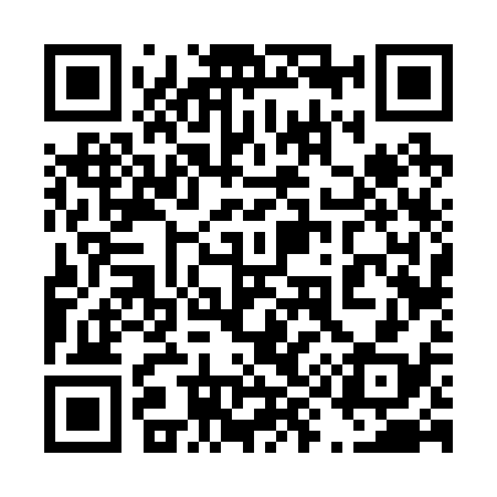 QR code for 496238