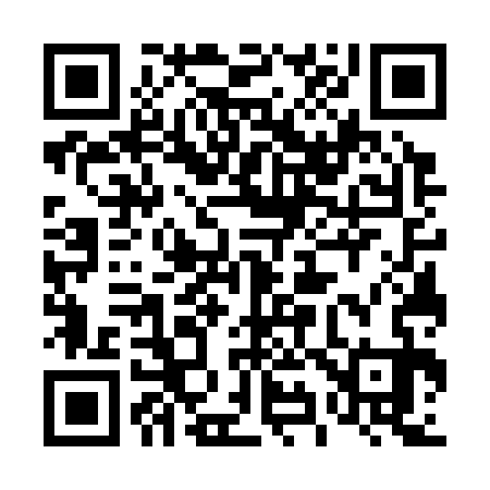 QR code for 497333