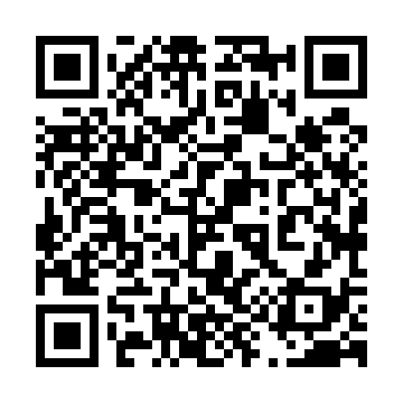 QR code for 498538