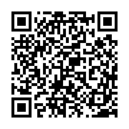 QR code for 498763