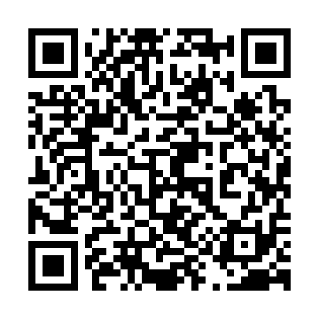 QR code for 499311