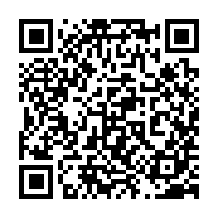 QR code for 499380