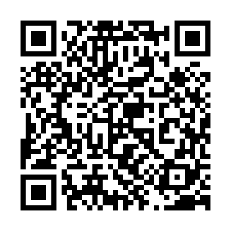 QR code for 499868