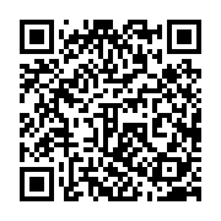 QR code for 500228