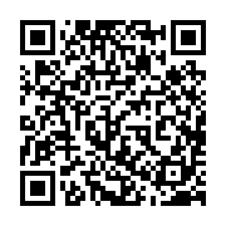 QR code for 500290
