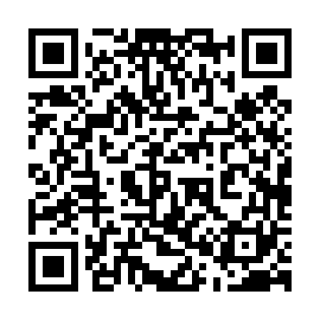 QR code for 500461