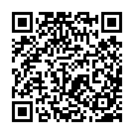 QR code for 500685