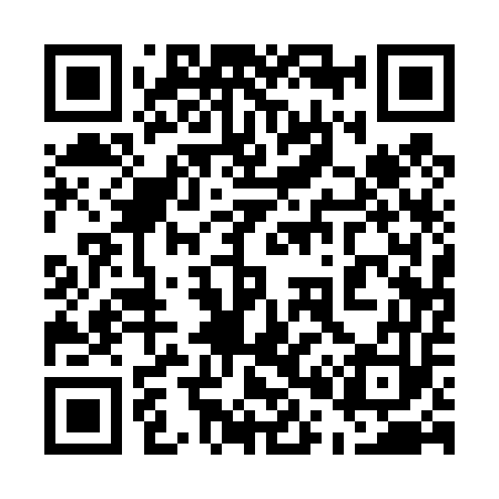QR code for 501453