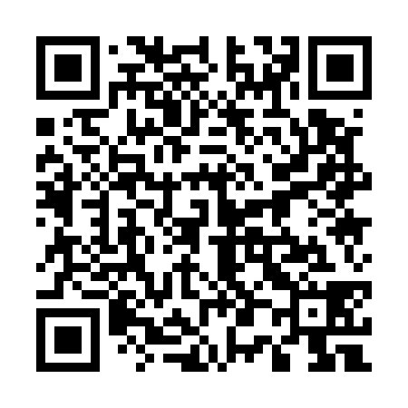 QR code for 501538