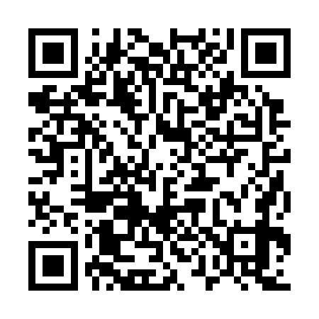 QR code for 502379
