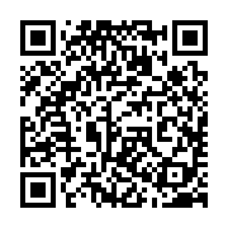 QR code for 502399