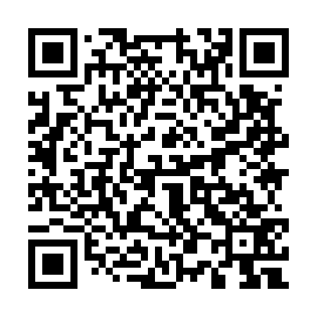 QR code for 509573