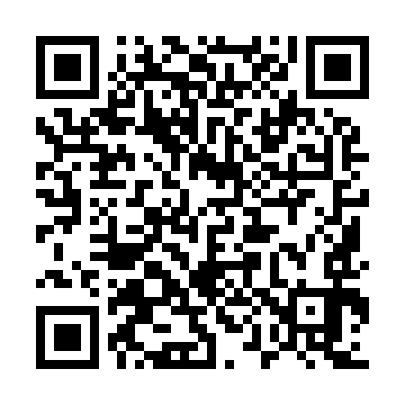 QR code for 509993