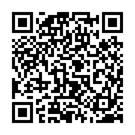 QR code for 511233