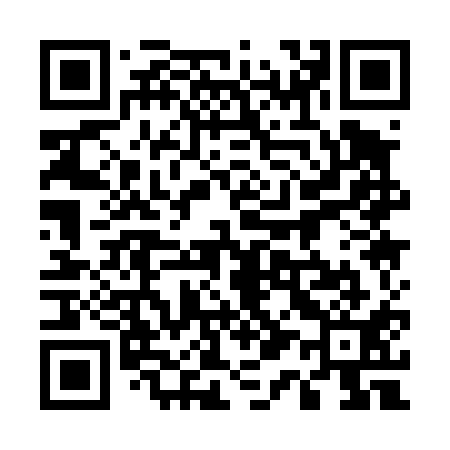 QR code for 511411