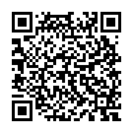 QR code for 513384